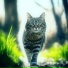 MityaCat, Catariela