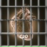 C2O