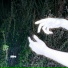 yukidead