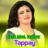 Nazia Iqbal, Sarfaraz