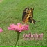 Radiobot