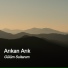Arıkan Arık