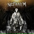 Nefariym