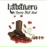 HABANERO COUNTRY ROCK BAND