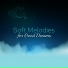 Oasis of Relaxation, Deep Sleep Moonlight Academy