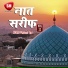 Mahboob Faizi