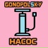 Gonopolsky