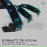 Streetz Of Rage