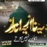 Sayyed Aarif Qadri Jilani