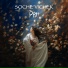 Soche'vichek