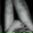 traian