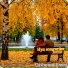 Нуц songwriter