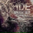 IDE