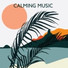 Relaxing Piano Music Oasis