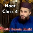 Khalid Hasnain Khalid