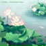 Fluidaw, Calmas Records