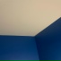 novis