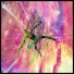 Infinitefreefall