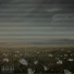 WHYBITEE