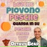 Octavy Bear