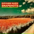 Giovanni Nardi