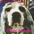 Big Beagle Projekt