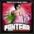 Pantera De La Costa