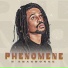 Phenomene