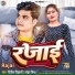 Nitish Vidyarthi, Sanghya Mishra