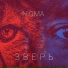 NIGMA