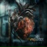 Ki Project
