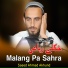 Saeed Ahmad Akhund
