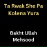 Bakht Ullah Mehsood