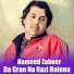 Hameed Zaheer