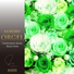 Luxury Orgel