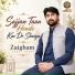 Zaigham Abbas Dard