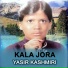 Yasir Kashmiri
