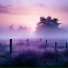 rareeast