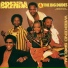 Brenda & The Big Dudes