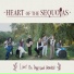 Heart of the Sequoias
