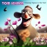Tom Lehrer