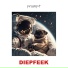 DIEPFEEK