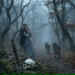 Игорь Варгов, Звериные танцы