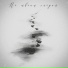 ФРЭНДЛИ, QWHITE