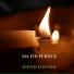 DAVID LOEVAN
