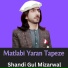 Shandi Gul Mizarwal