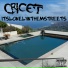 Cricet