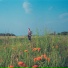 Dan Koshute