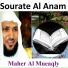 الشيخ ماهر المعيقلي