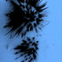 C}{imps 8 My Ears